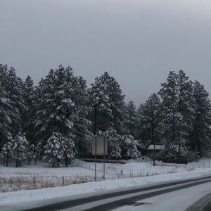 Meet your Posher, Lorena